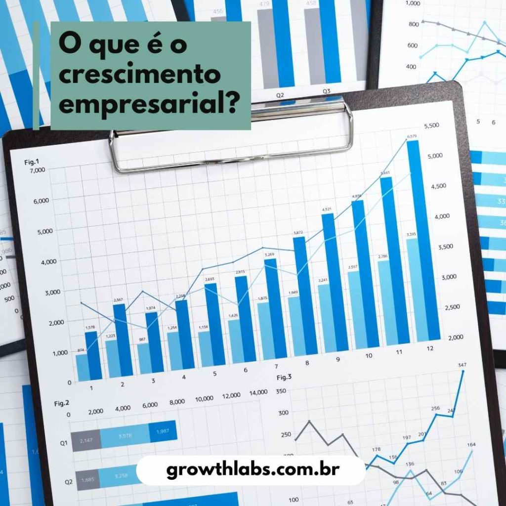 O-que-e-o-crescimento-empresarial