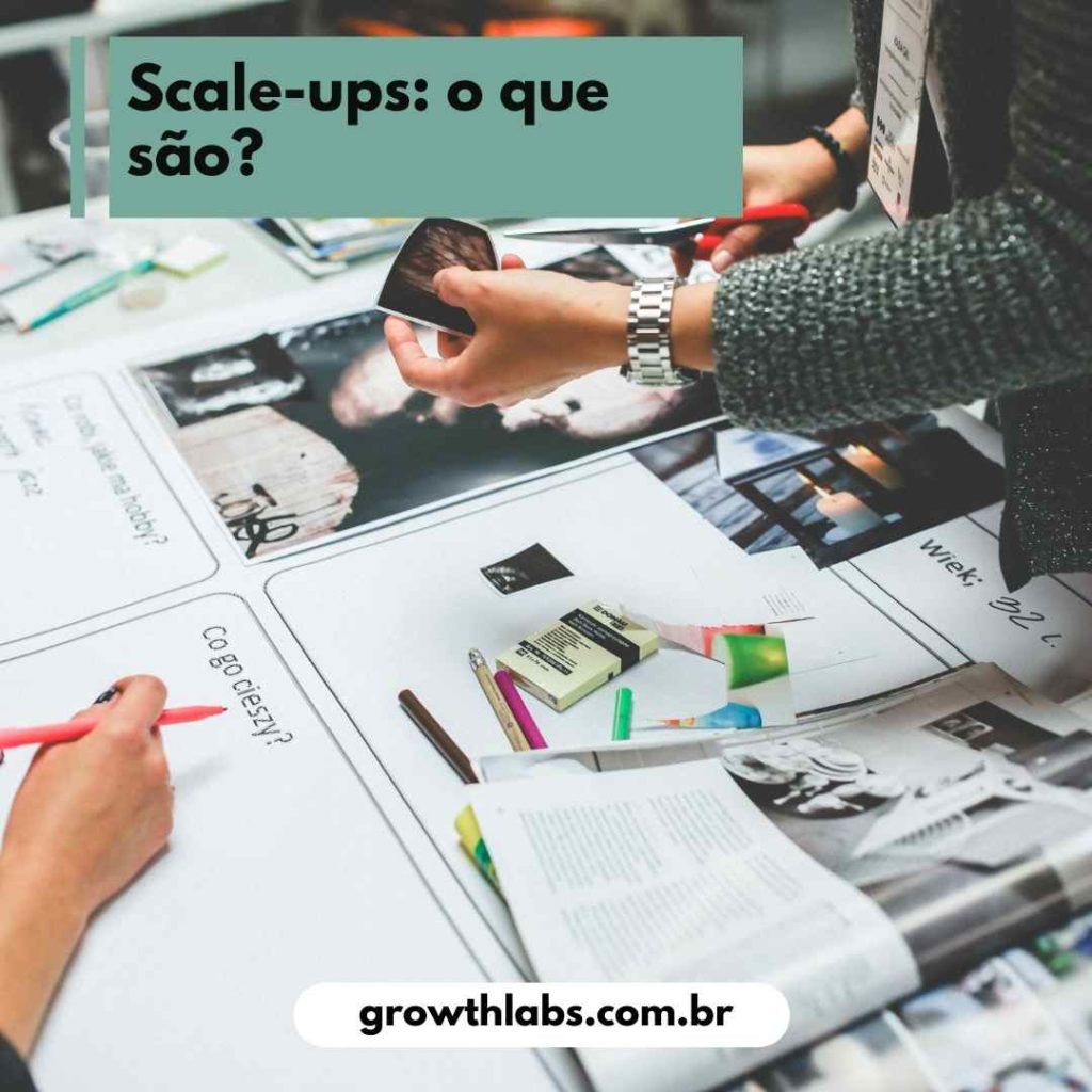 Scale-ups o que são