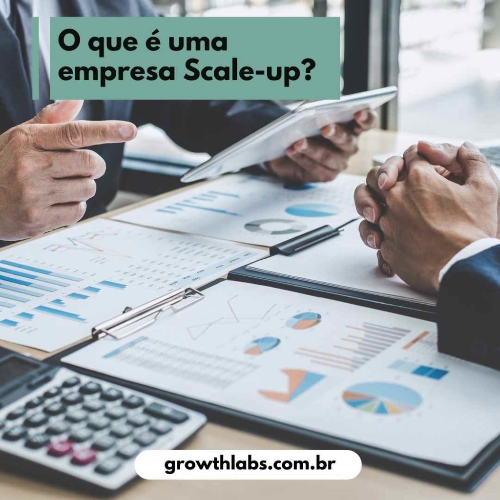 Scale-ups o que são (2)