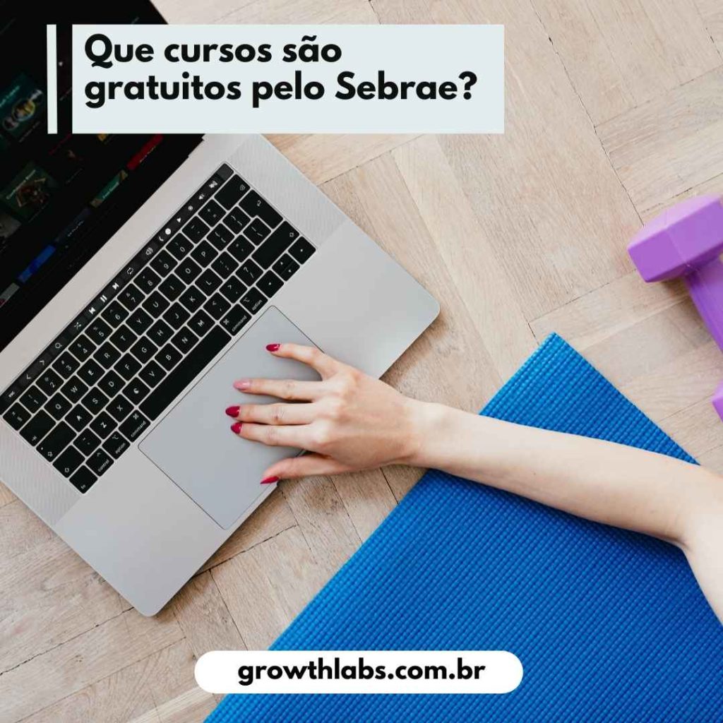 Cursos do Sebrae quais gratuitos, online e para empresas (2)