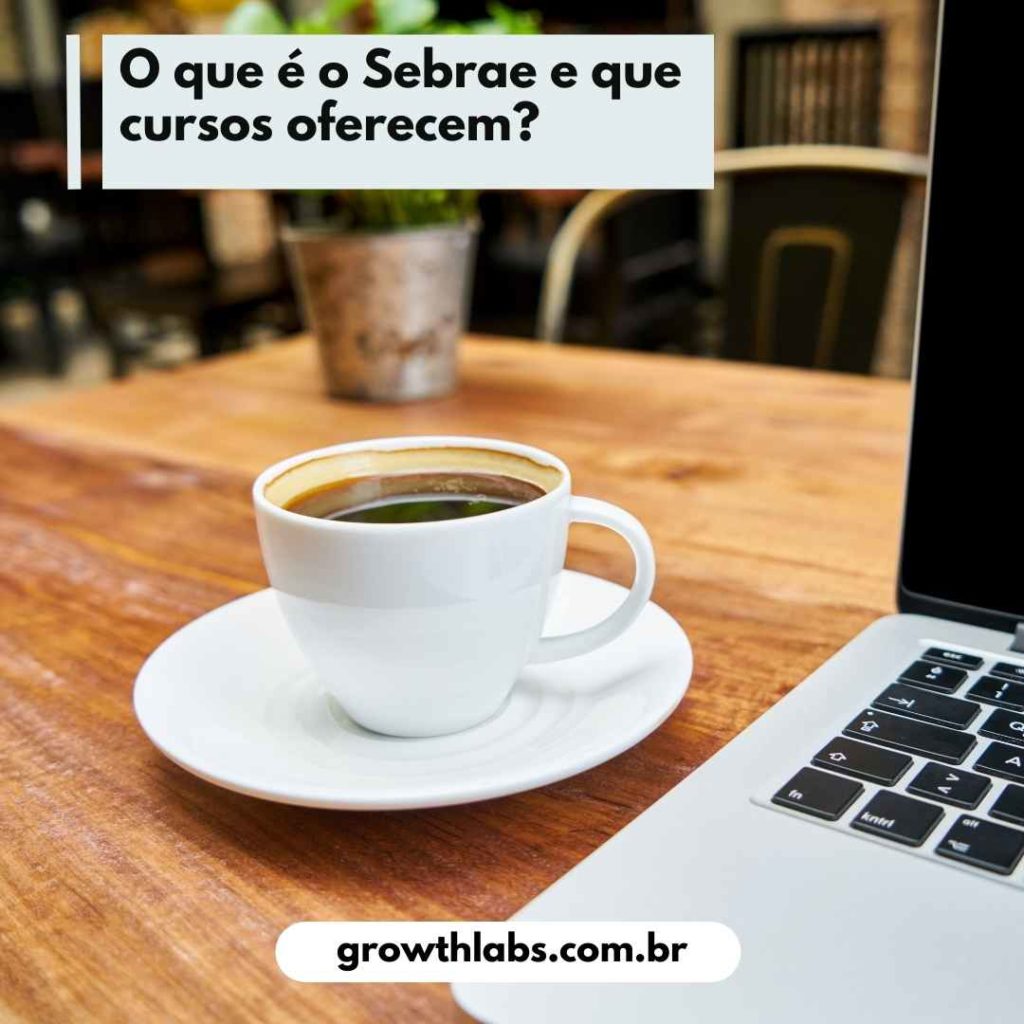 Cursos do Sebrae quais gratuitos, online e para empresas (3)